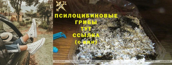 стаф Беломорск