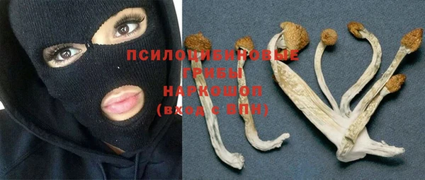 стаф Беломорск