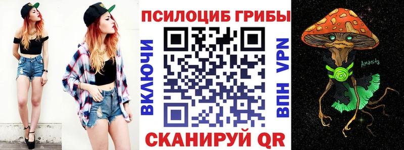 продажа наркотиков  Солигалич  Галлюциногенные грибы Magic Shrooms 